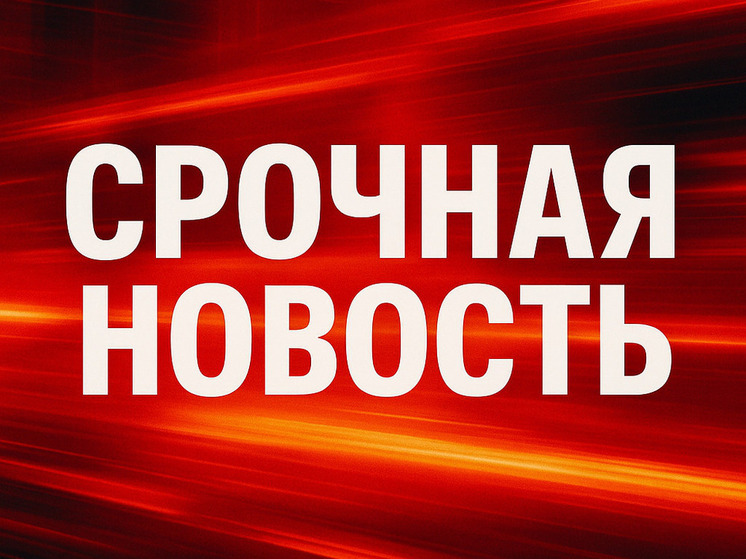 Правительство Ливана запретило военное крыло Хизбаллы