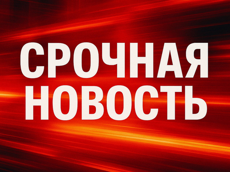 Экстрадиция Бориса Алешина: международная операция с участием Интерпола
