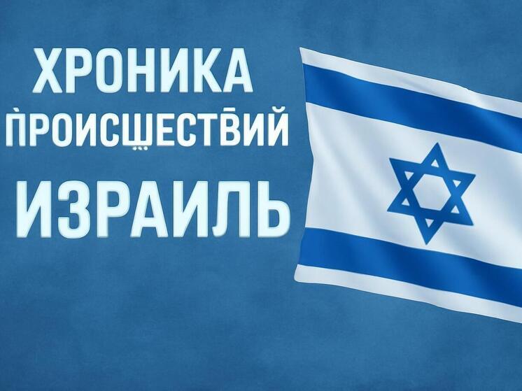 Бешеная собака обнаружена в поселении Неве-Цуф