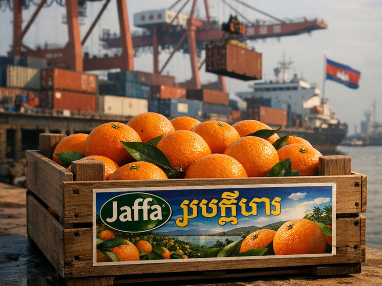 От Яффской легенды к кхмерскому рынку