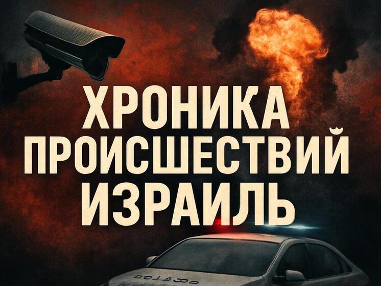 Житель Бейтар-Илита предстанет перед судом за наезд на овец и нападение на пастуха