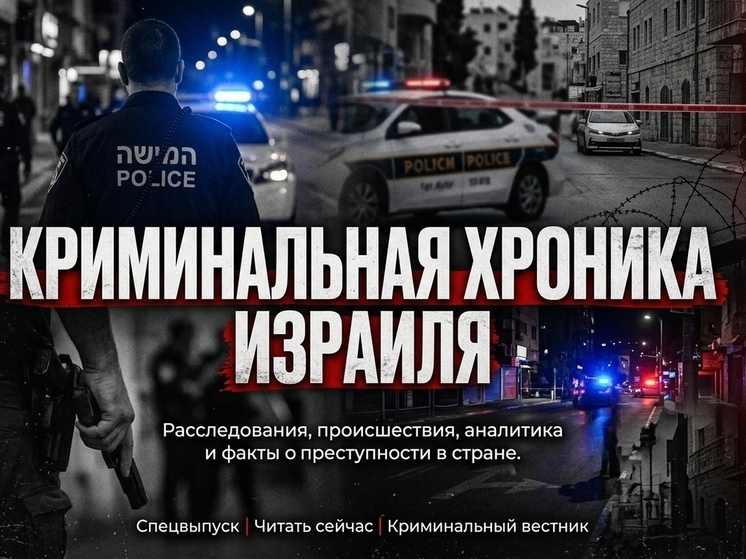 Северном округе Израиля раскрыта кража оружия и сеть наркоторговли среди военных