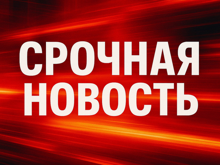 Задержание террористки с ножом у Ганот: предотвращён теракт в центре Израиля